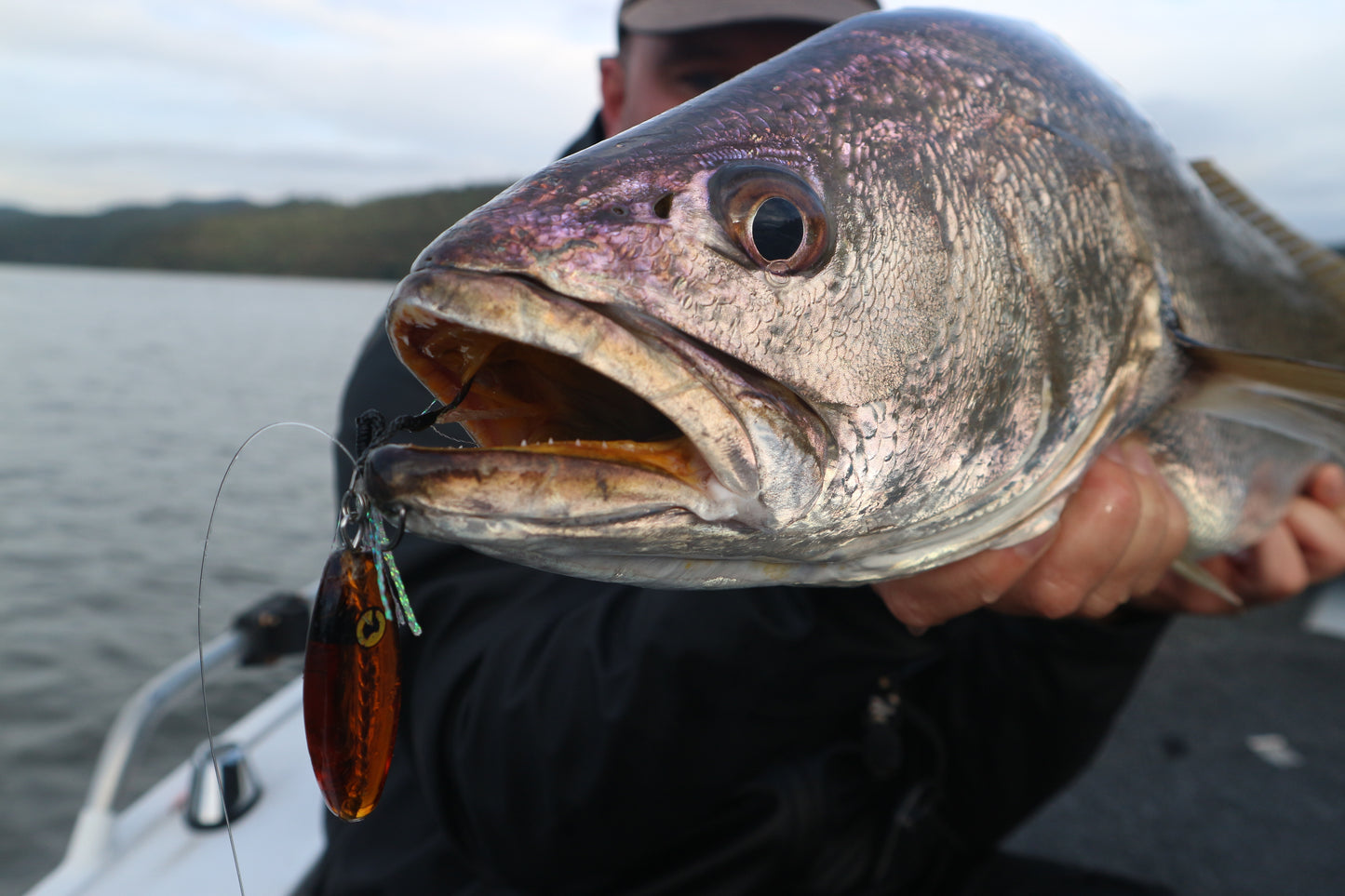 Oba-Ke 17g Beer Bottle Prawn