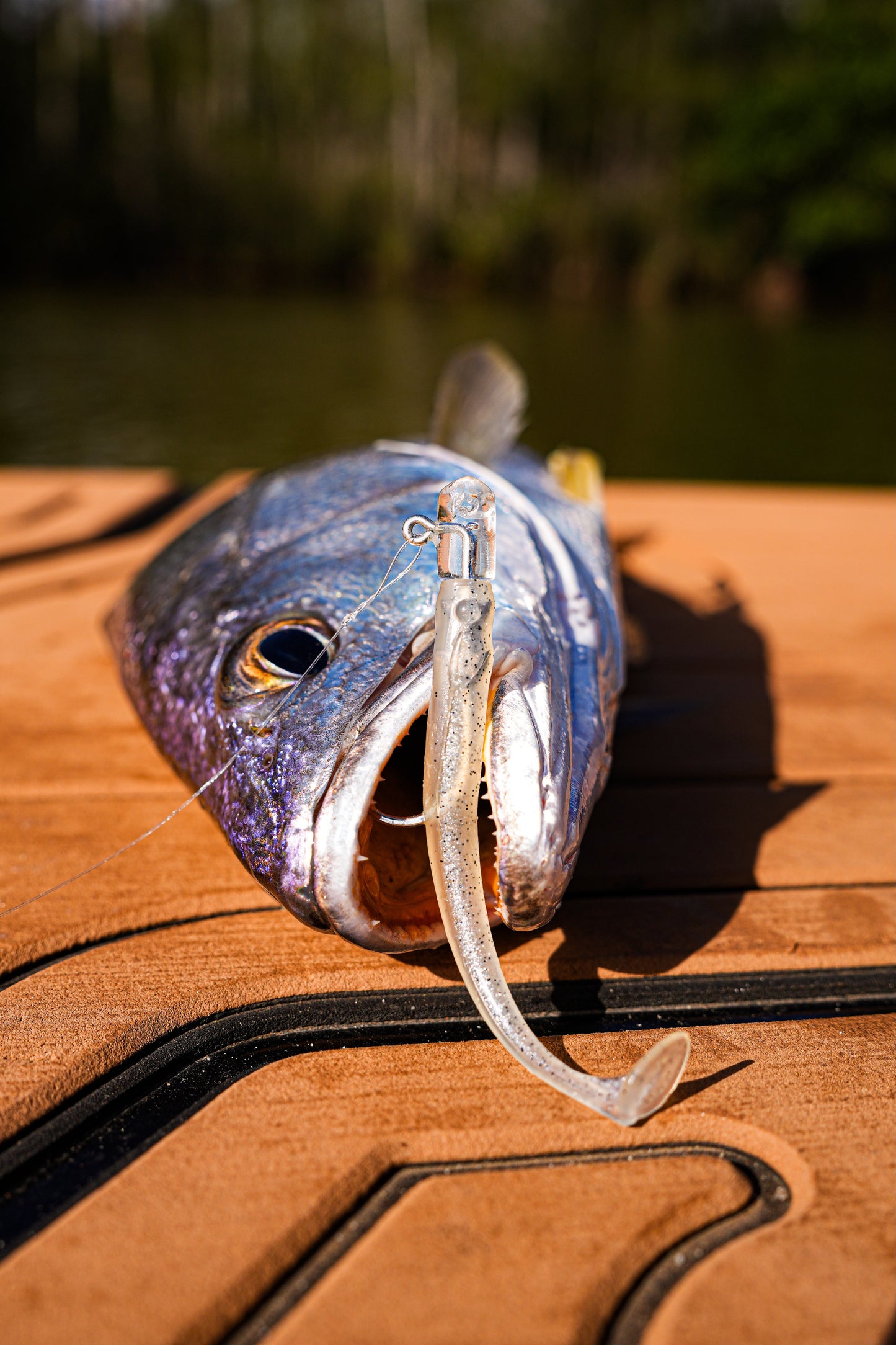 HIKARI HEADS 3/0 (3PK)