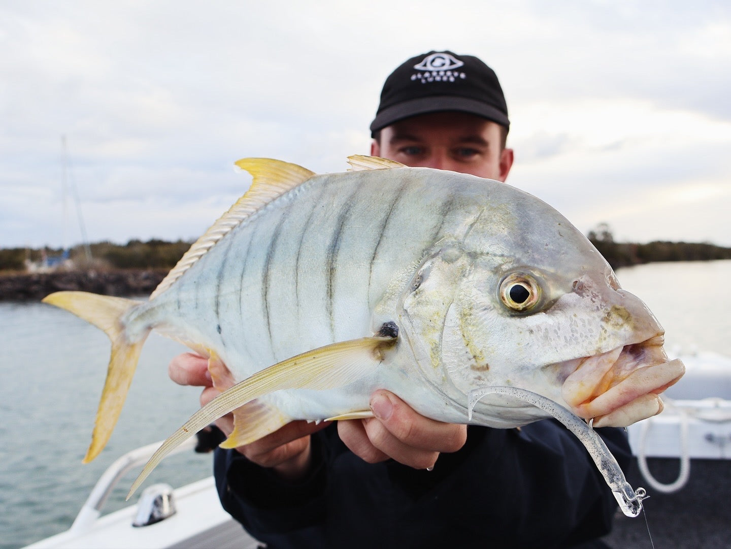 HIKARI HEADS 3/0 Triple Pack