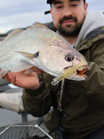 HIKARI HEADS 6/0 (3PK)