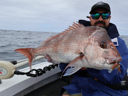 HIKARI HEADS 6/0 (3PK)