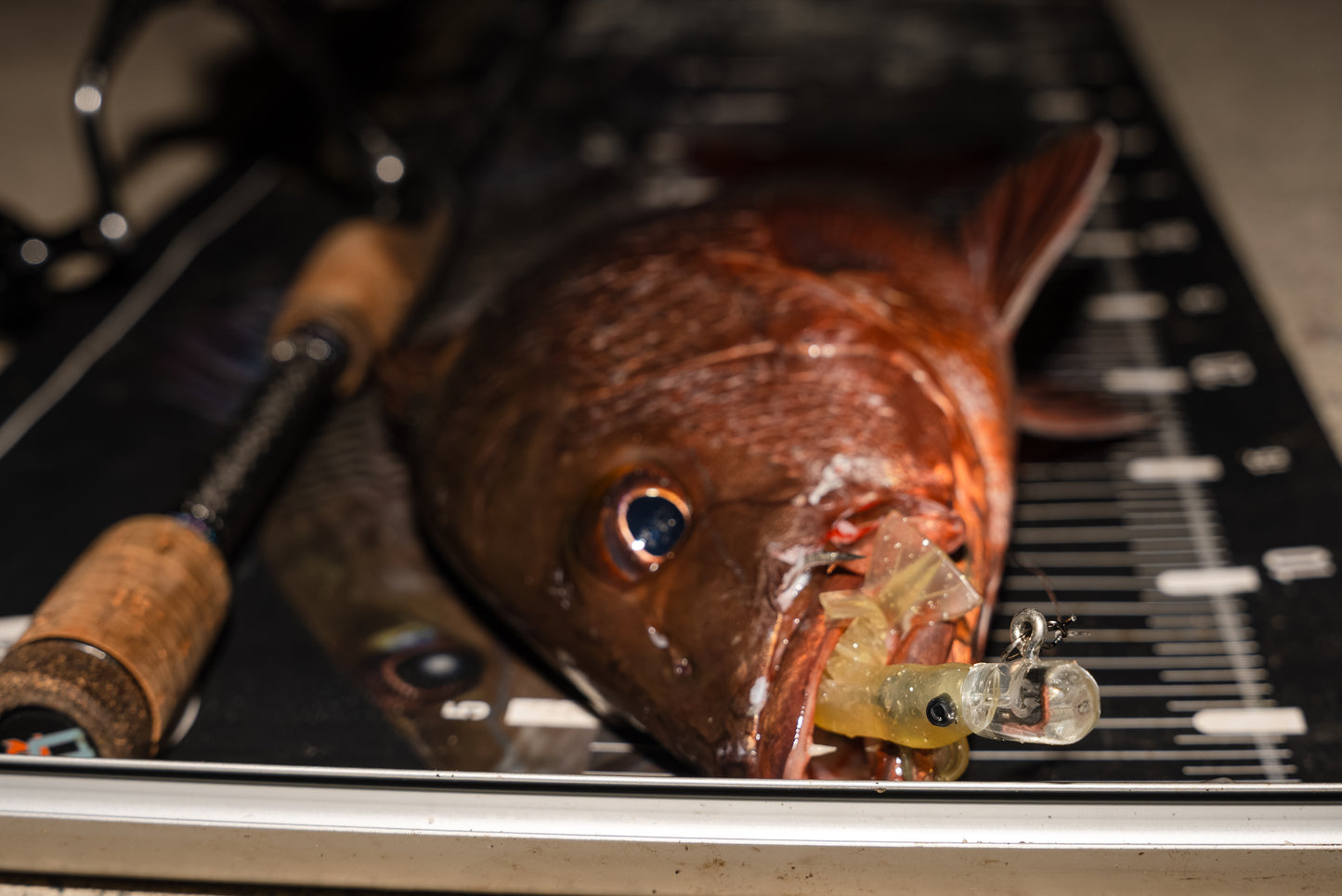 HIKARI HEADS 6/0 (3PK)