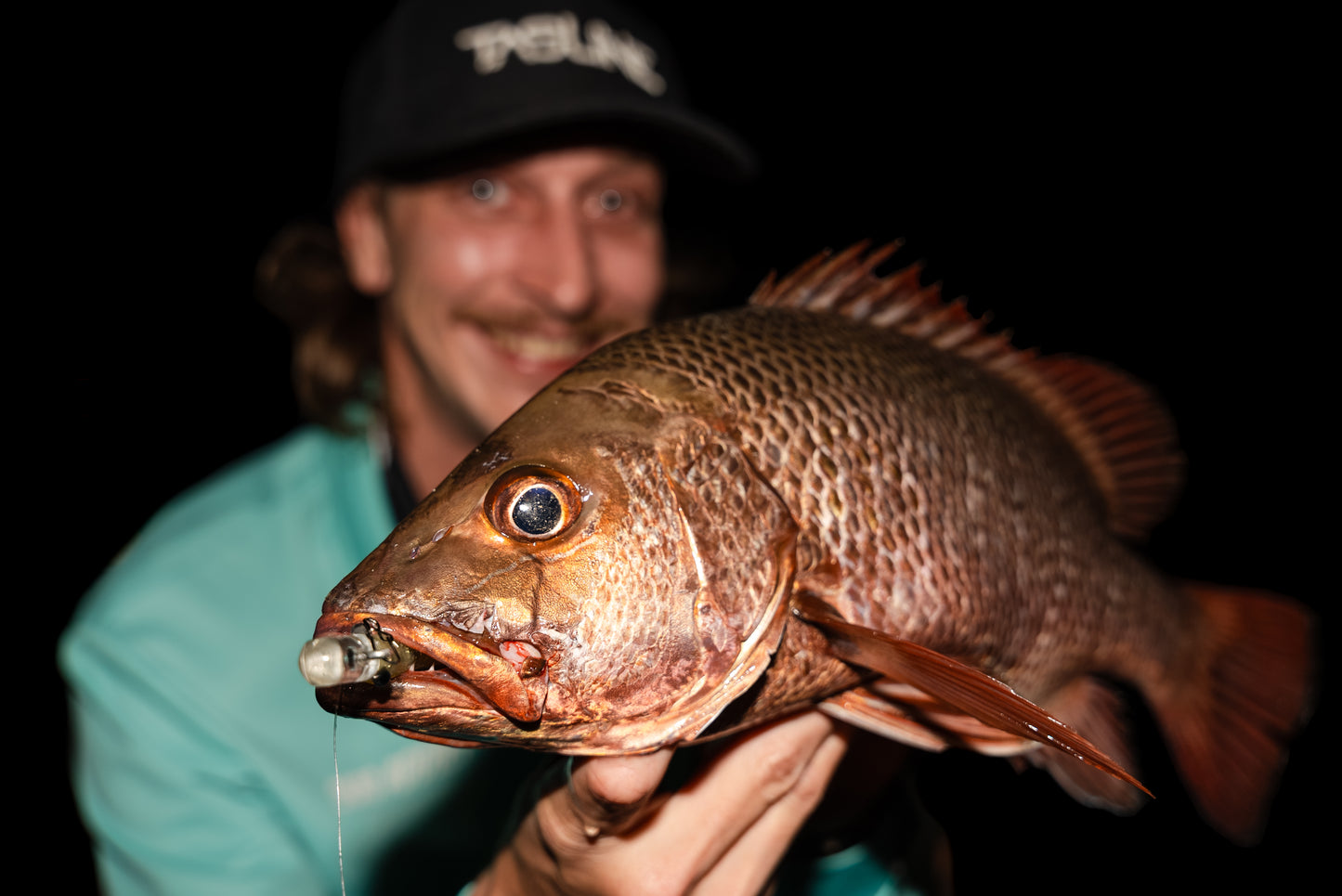 HIKARI HEADS 6/0 (3PK)