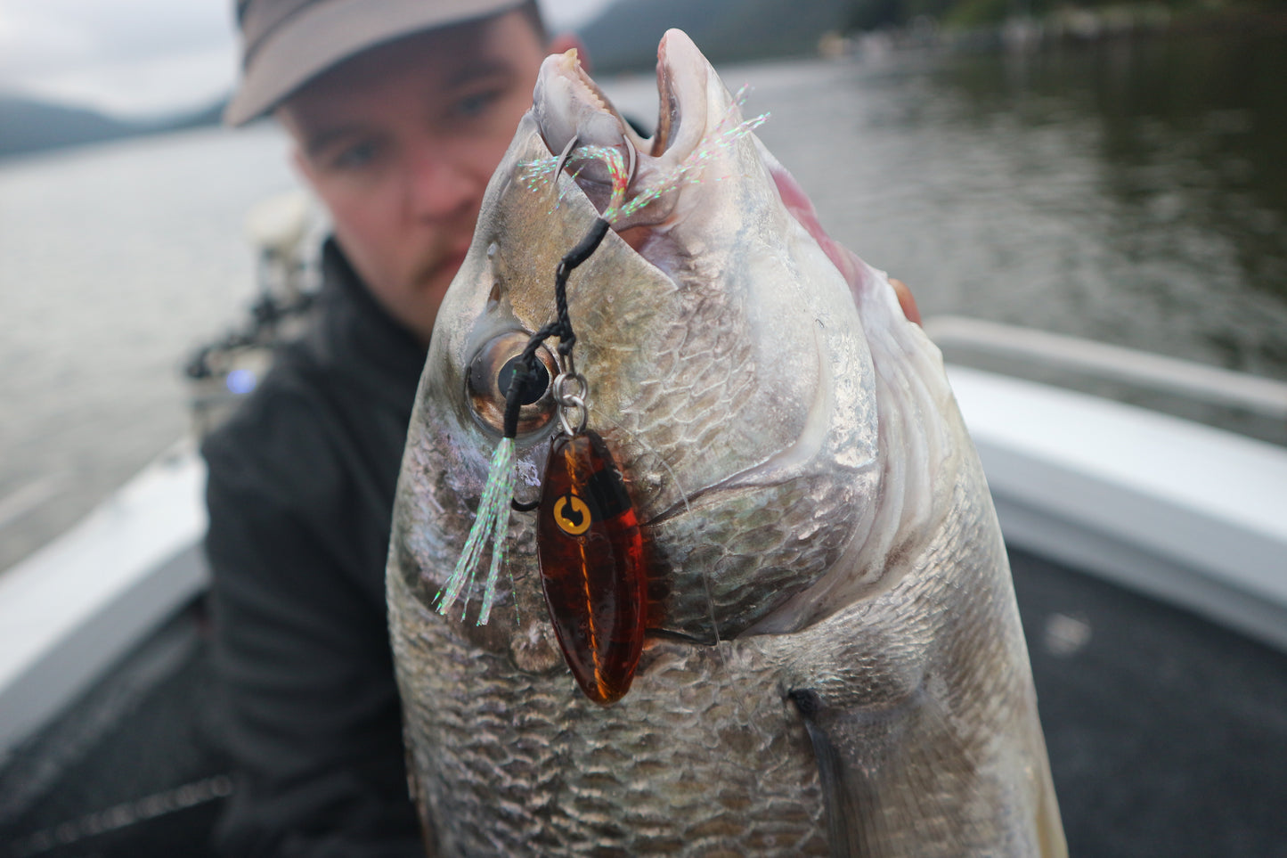 Oba-Ke All Species Bundle