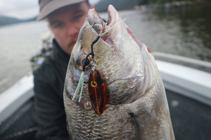 Oba-Ke All Species Bundle