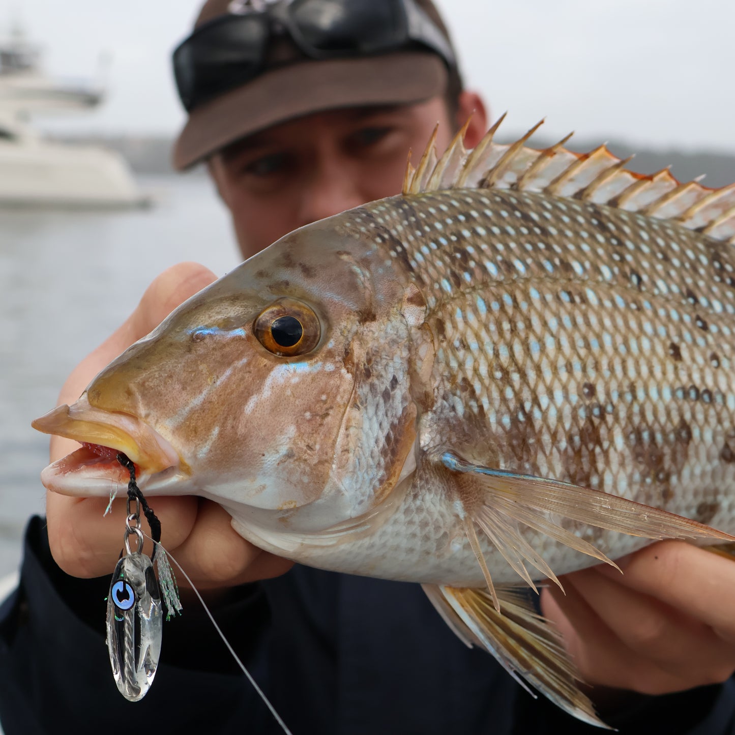 Bubba-Ke Clearwater 3-Pack