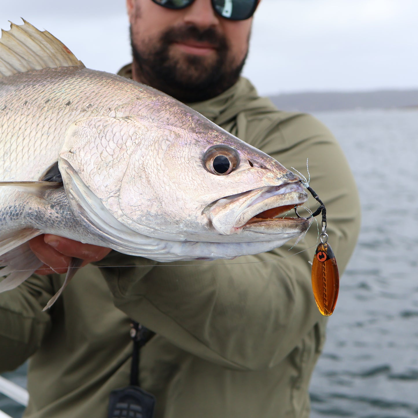 Oba-Ke All Species Bundle