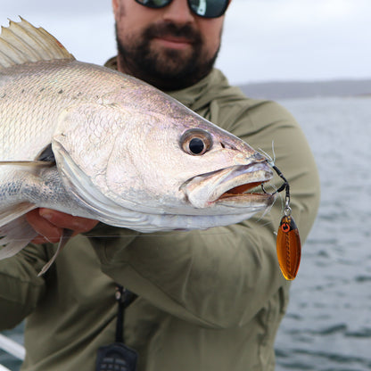 Oba-Ke All Species Bundle