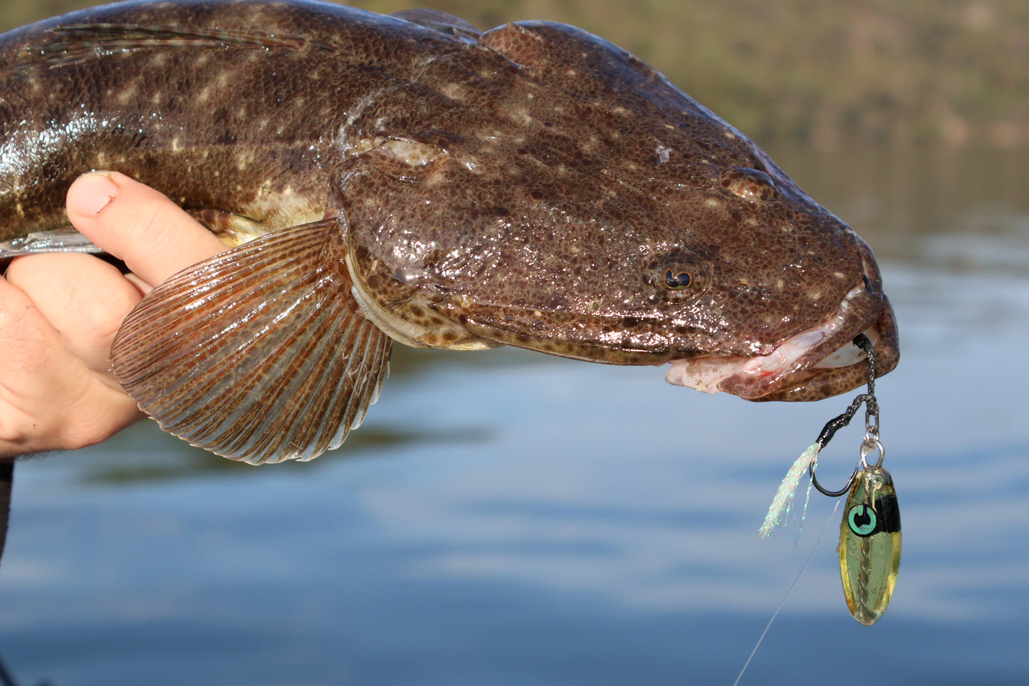 Bubba-Ke Clearwater 3-Pack