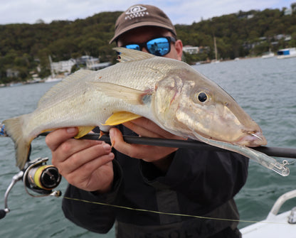 HIKARI HEADS 3/0 (3PK)