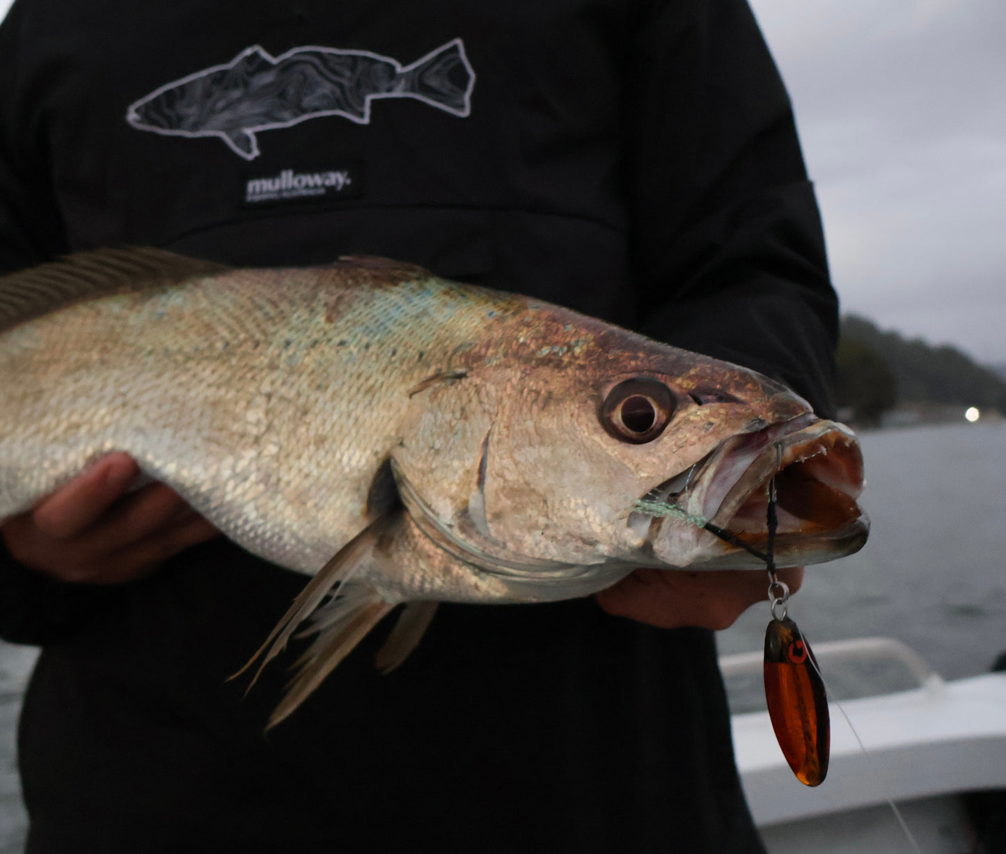 Oba-Ke All Species Bundle