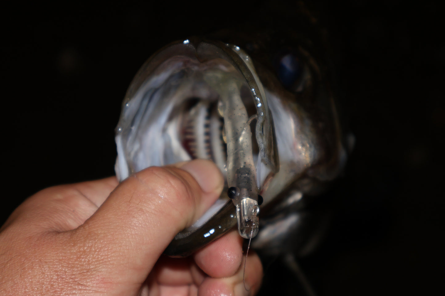 HIKARI HEADS 1/0 (4PK)