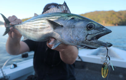 Bubba-Ke Clearwater 3-Pack