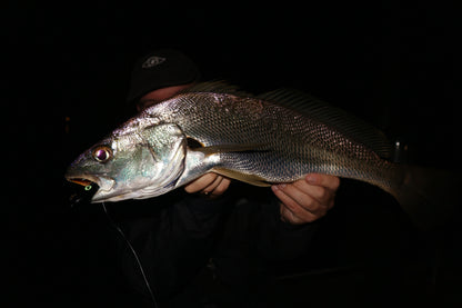 Bubba-Ke Estuary 3-Pack